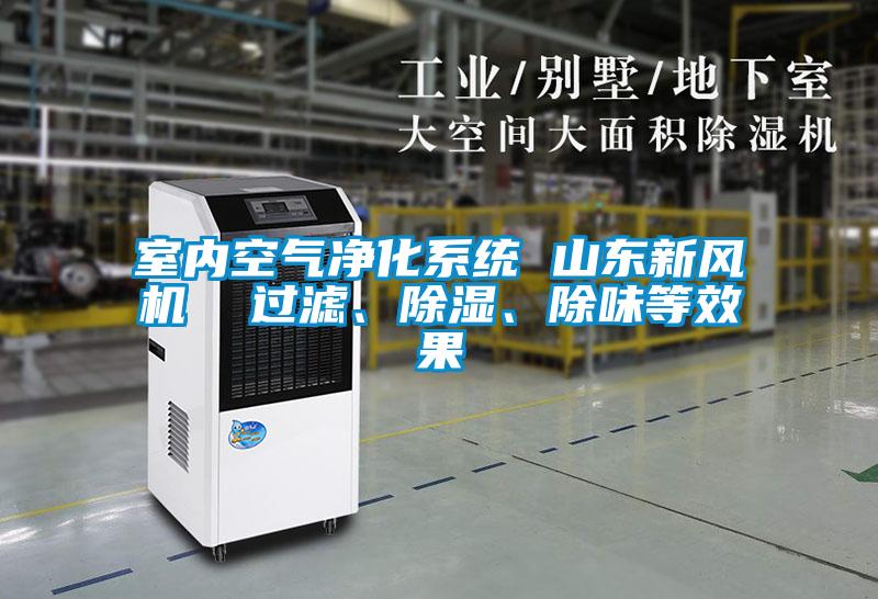 室內(nèi)空氣凈化系統(tǒng) 山東新風(fēng)機(jī)  過(guò)濾、除濕、除味等效果