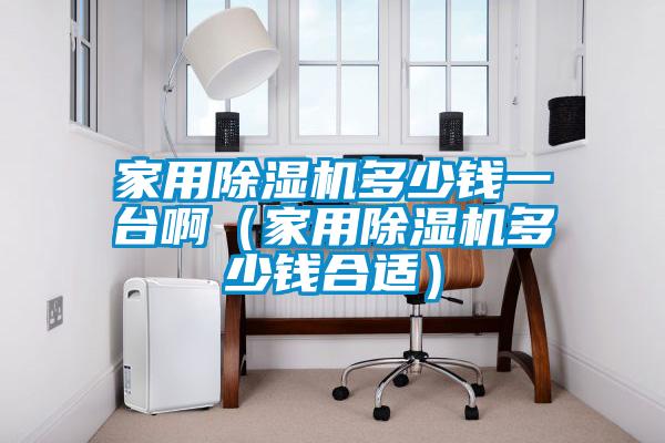 家用除濕機(jī)多少錢(qián)一臺(tái)啊（家用除濕機(jī)多少錢(qián)合適）