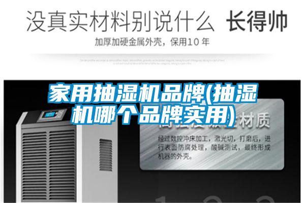 家用抽濕機(jī)品牌(抽濕機(jī)哪個品牌實用)