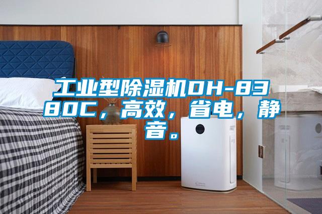 工業型除濕機DH-8380C,高效,省電,靜音。