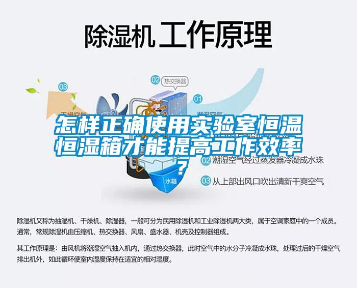 怎樣正確使用實驗室恒溫恒濕箱才能提高工作效率？