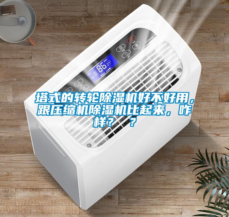 塔式的轉(zhuǎn)輪除濕機(jī)好不好用，跟壓縮機(jī)除濕機(jī)比起來(lái)，咋樣？ ？