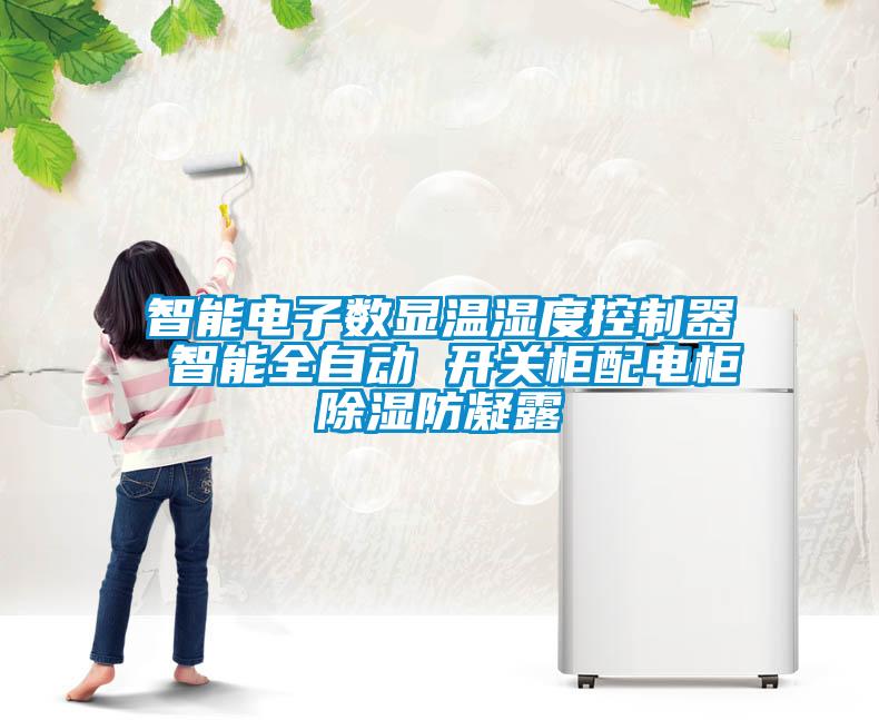 智能電子數(shù)顯溫濕度控制器 智能全自動 開關柜配電柜除濕防凝露