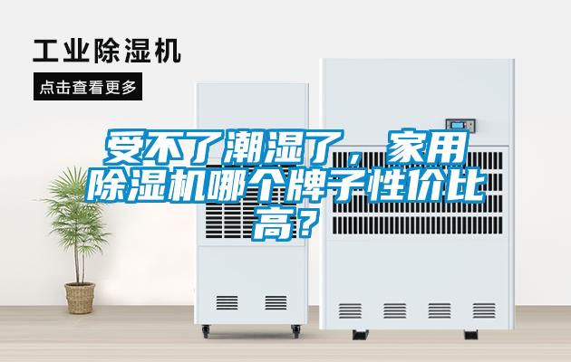 受不了潮濕了，家用除濕機哪個牌子性價比高？