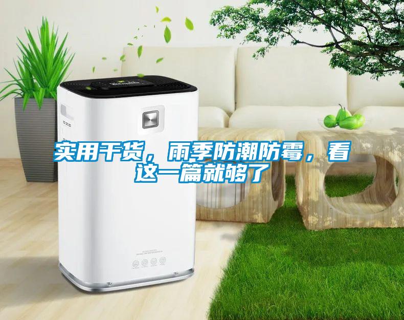 實用干貨，雨季防潮防霉，看這一篇就夠了