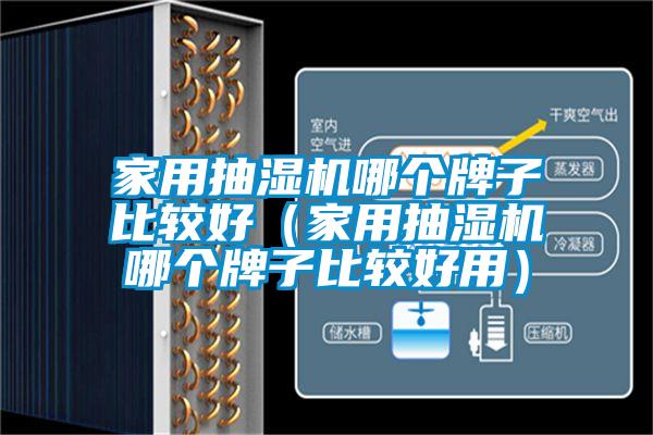 家用抽濕機(jī)哪個牌子比較好（家用抽濕機(jī)哪個牌子比較好用）