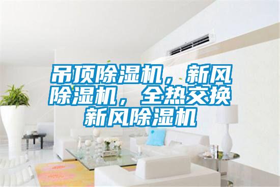 吊頂除濕機，新風除濕機，全熱交換新風除濕機