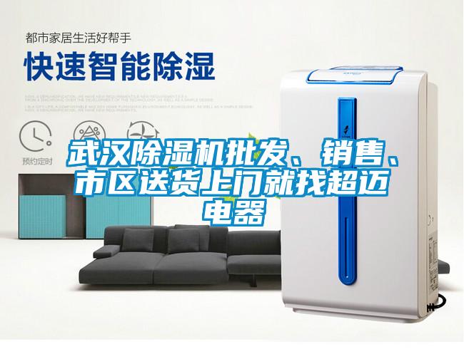 武漢除濕機批發、銷售、市區送貨上門就找超邁電器