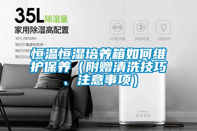恒溫恒濕培養(yǎng)箱如何維護(hù)保養(yǎng)（附贈清洗技巧、注意事項）