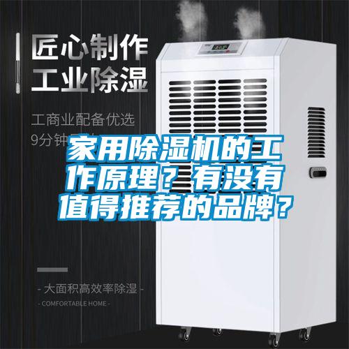 家用除濕機的工作原理？有沒有值得推薦的品牌？