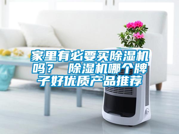家里有必要買除濕機(jī)嗎？ 除濕機(jī)哪個牌子好優(yōu)質(zhì)產(chǎn)品推薦