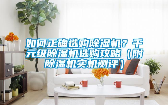 如何正確選購除濕機？千元級除濕機選購攻略（附除濕機實機測評）