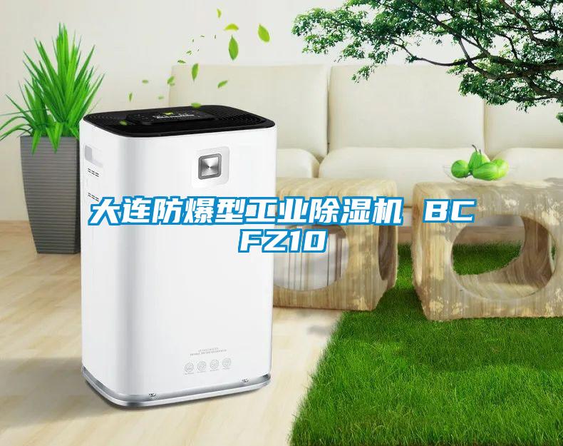 大連防爆型工業除濕機 BCFZ10