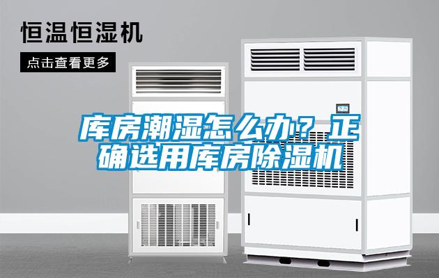 庫房潮濕怎么辦？正確選用庫房除濕機