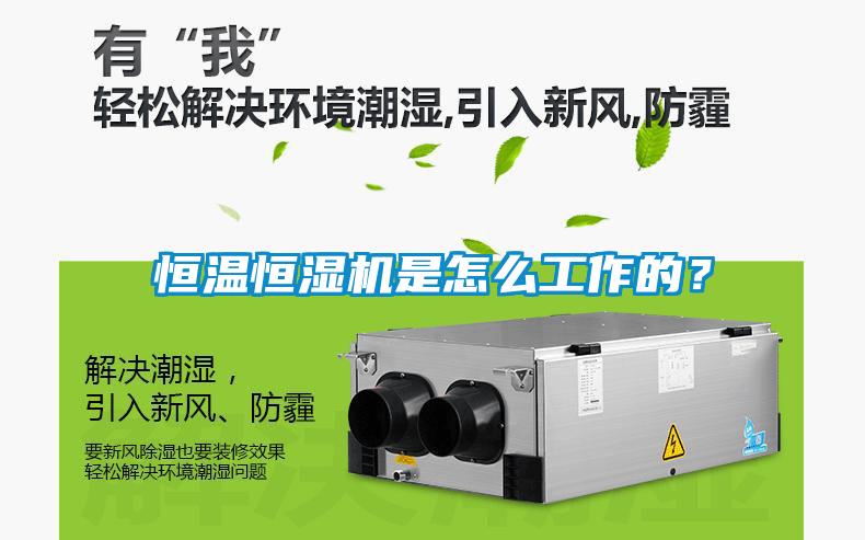 恒溫恒濕機是怎么工作的？