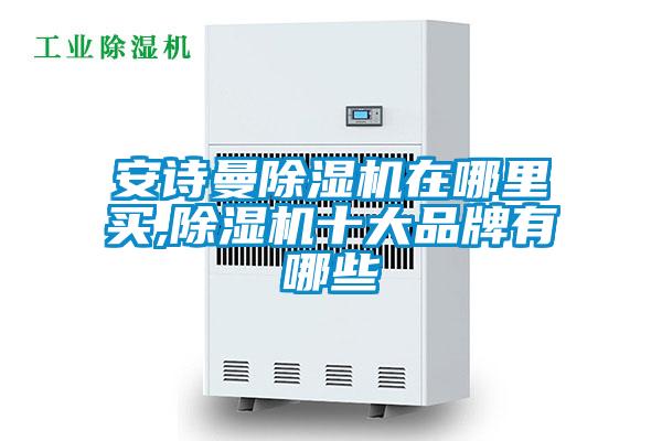 安詩曼除濕機(jī)在哪里買,除濕機(jī)十大品牌有哪些
