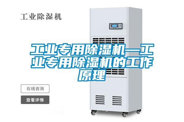 工業(yè)專用除濕機(jī)—工業(yè)專用除濕機(jī)的工作原理