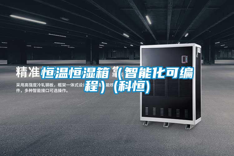 恒溫恒濕箱(智能化可編程)(科恒)