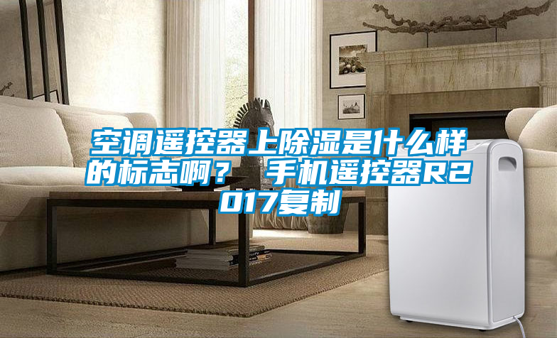 空調遙控器上除濕是什么樣的標志啊？ 手機遙控器R2017復制