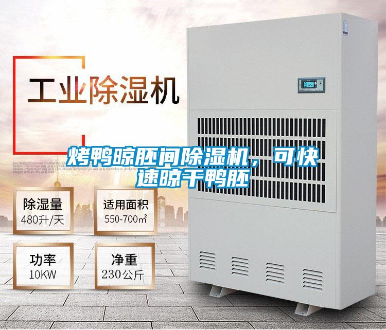 烤鴨晾胚間除濕機(jī)，可快速晾干鴨胚
