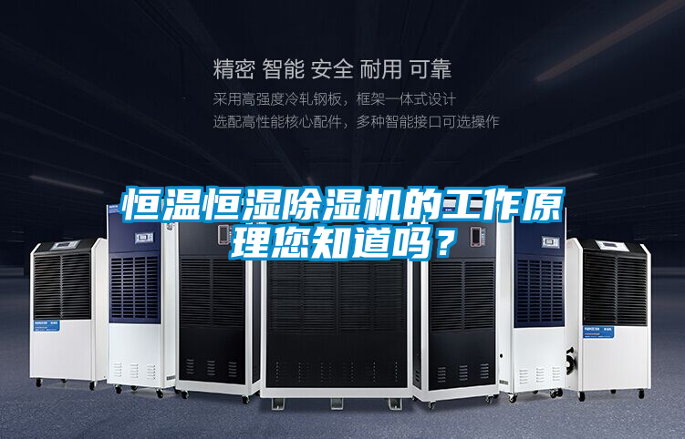恒溫恒濕除濕機的工作原理您知道嗎？