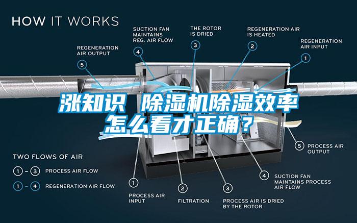 漲知識 除濕機除濕效率怎么看才正確？