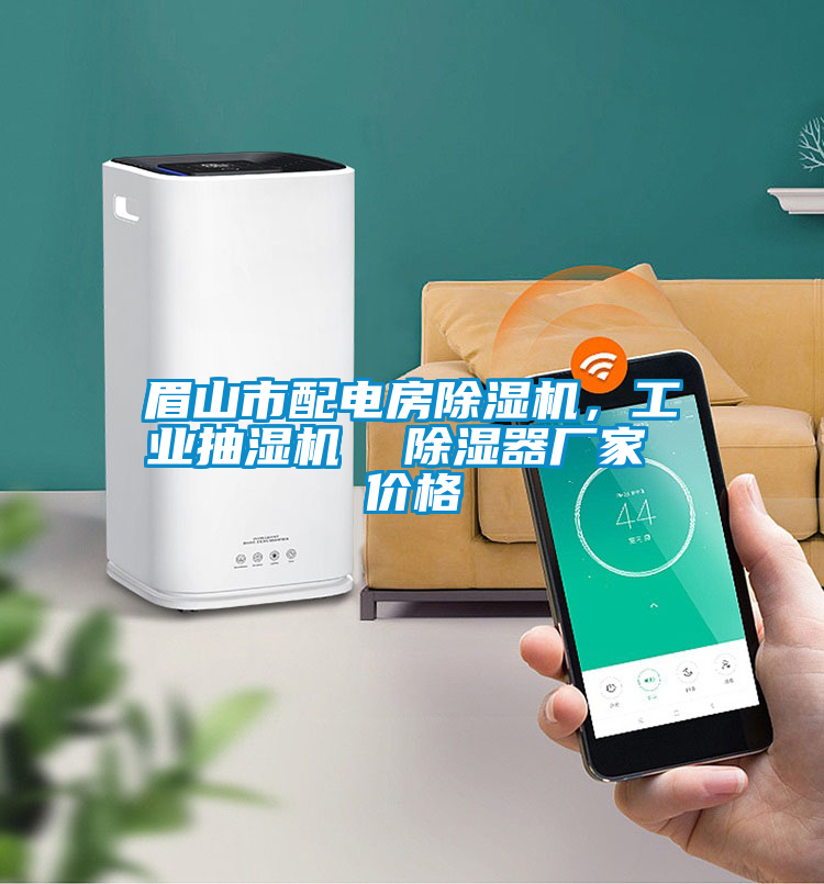 眉山市配電房除濕機(jī)，工業(yè)抽濕機(jī)  除濕器廠家 價(jià)格