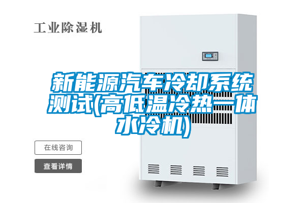 新能源汽車(chē)?yán)鋮s系統(tǒng)測(cè)試(高低溫冷熱一體水冷機(jī))
