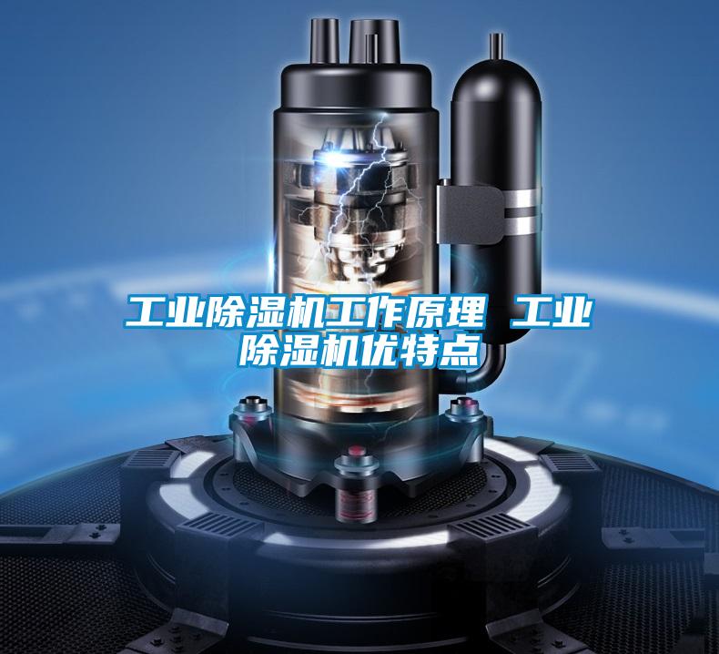工業(yè)除濕機(jī)工作原理 工業(yè)除濕機(jī)優(yōu)特點(diǎn)