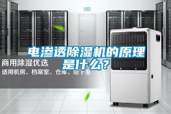 電滲透除濕機的原理是什么？