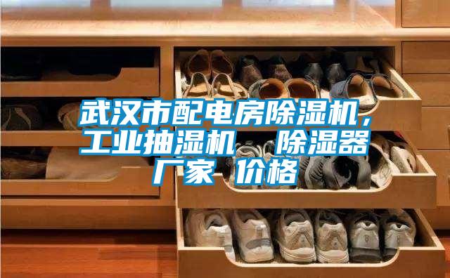 武漢市配電房除濕機(jī)，工業(yè)抽濕機(jī)  除濕器廠家 價(jià)格