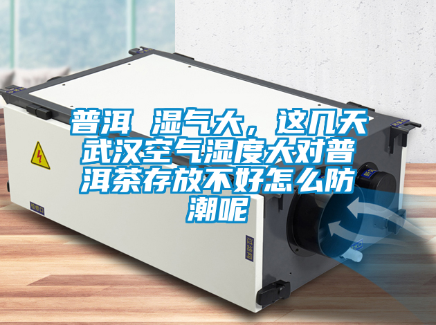 普洱 濕氣大，這幾天武漢空氣濕度大對普洱茶存放不好怎么防潮呢