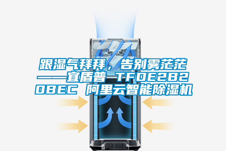 跟濕氣拜拜，告別霧茫茫——宜盾普 TFDE2B20BEC 阿里云智能除濕機(jī)