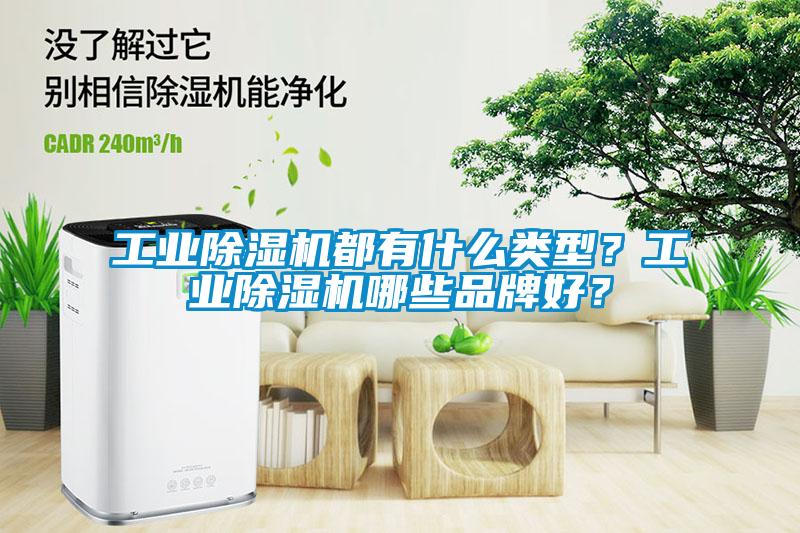 工業(yè)除濕機都有什么類型？工業(yè)除濕機哪些品牌好？