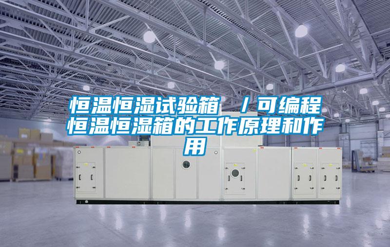 恒溫恒濕試驗箱 /可編程恒溫恒濕箱的工作原理和作用