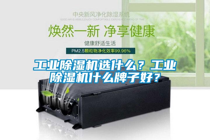 工業(yè)除濕機(jī)選什么？工業(yè)除濕機(jī)什么牌子好？