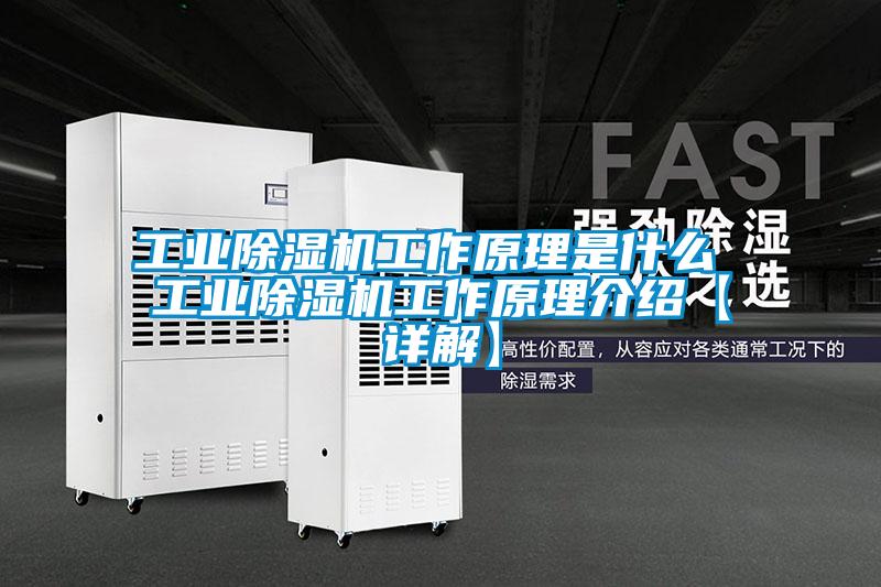 工業(yè)除濕機(jī)工作原理是什么 工業(yè)除濕機(jī)工作原理介紹【詳解】