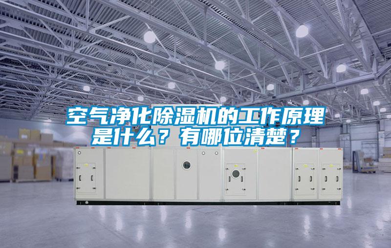 空氣凈化除濕機(jī)的工作原理是什么？有哪位清楚？