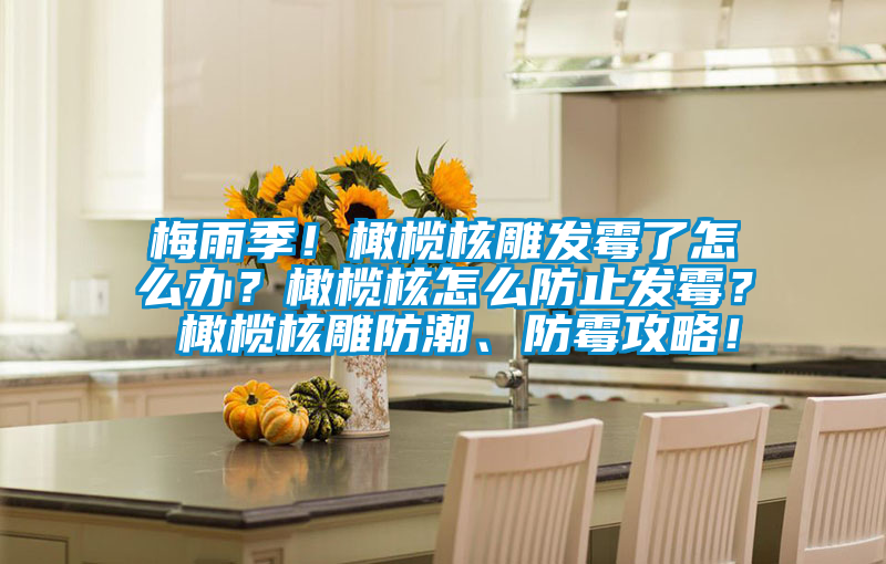 梅雨季！橄欖核雕發霉了怎么辦？橄欖核怎么防止發霉？ 橄欖核雕防潮、防霉攻略！