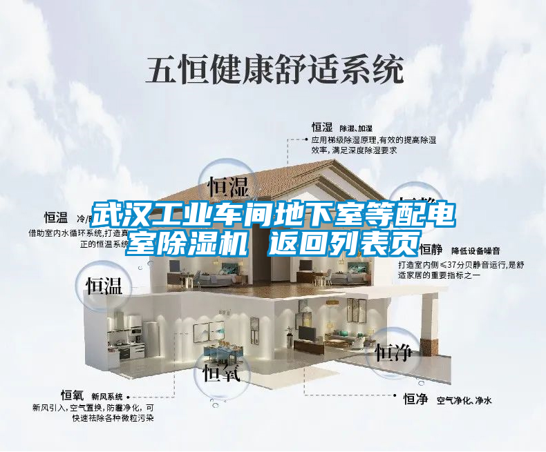 武漢工業(yè)車間地下室等配電室除濕機 返回列表頁