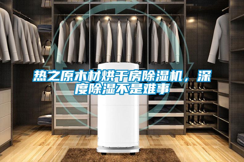 熱之原木材烘干房除濕機，深度除濕不是難事