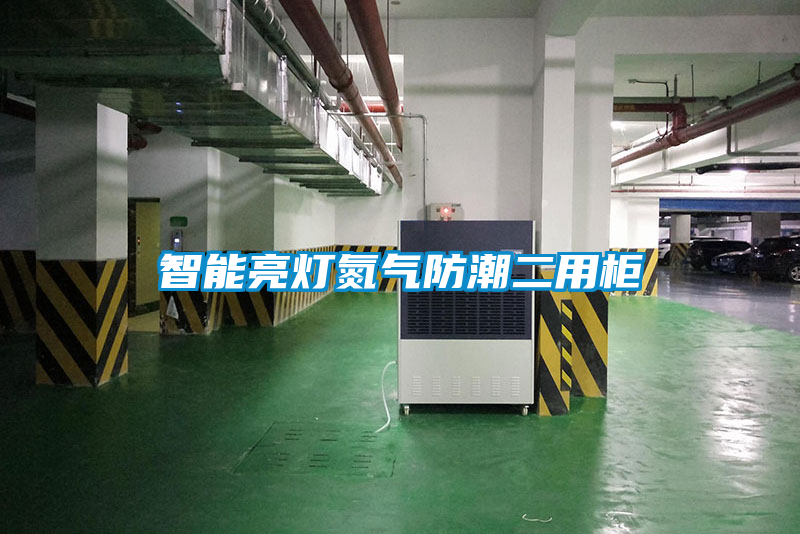 智能亮燈氮?dú)夥莱倍霉?></div>
								<div   id=