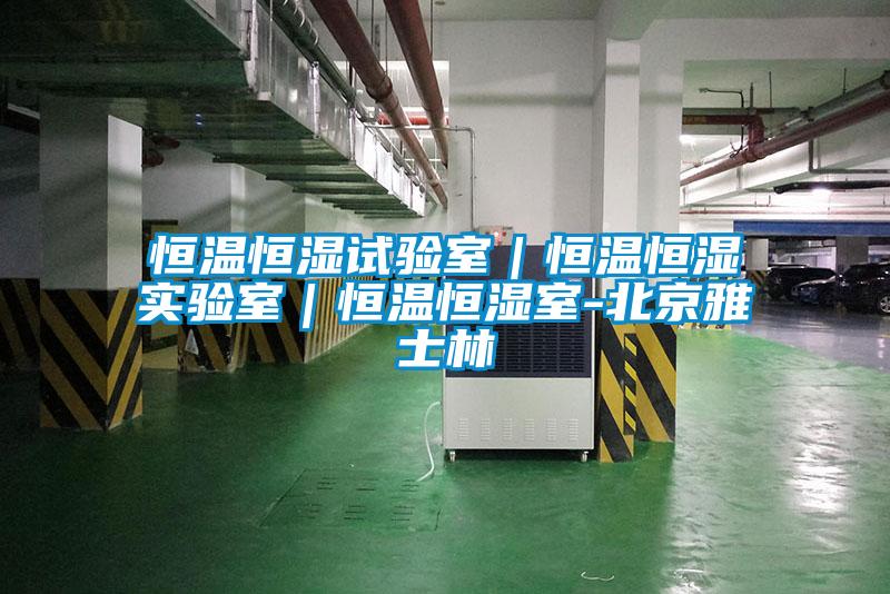 恒溫恒濕試驗(yàn)室|恒溫恒濕實(shí)驗(yàn)室|恒溫恒濕室-北京雅士林