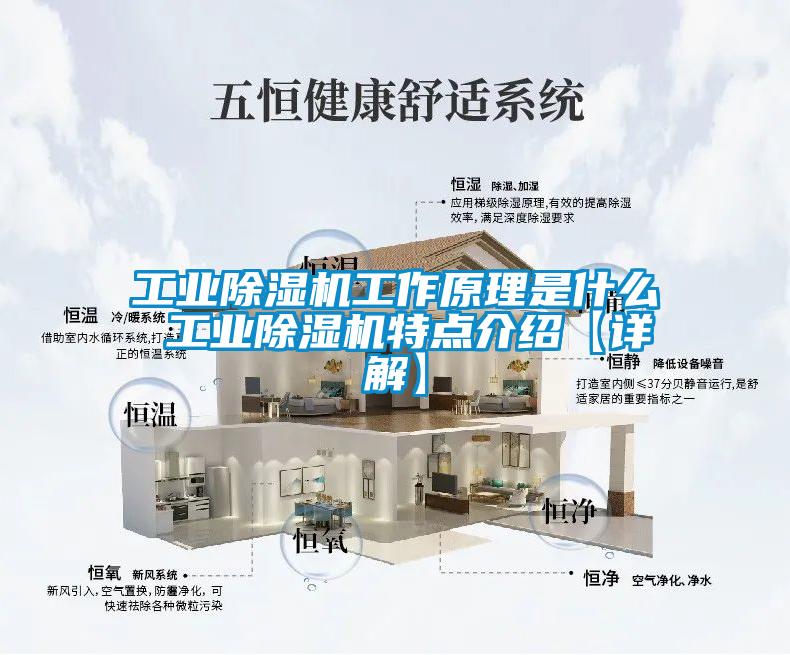 工業(yè)除濕機(jī)工作原理是什么 工業(yè)除濕機(jī)特點(diǎn)介紹【詳解】