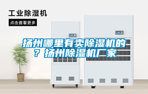 揚(yáng)州哪里有賣除濕機(jī)的？揚(yáng)州除濕機(jī)廠家