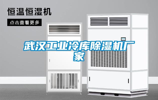 武漢工業(yè)冷庫除濕機(jī)廠家