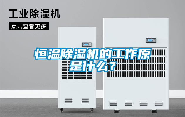 恒溫除濕機(jī)的工作原是什么?