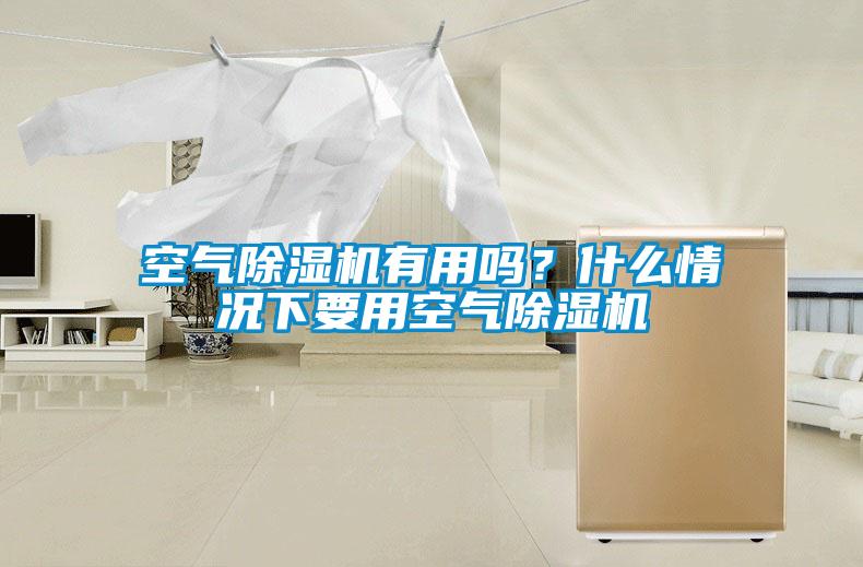 空氣除濕機有用嗎？什么情況下要用空氣除濕機