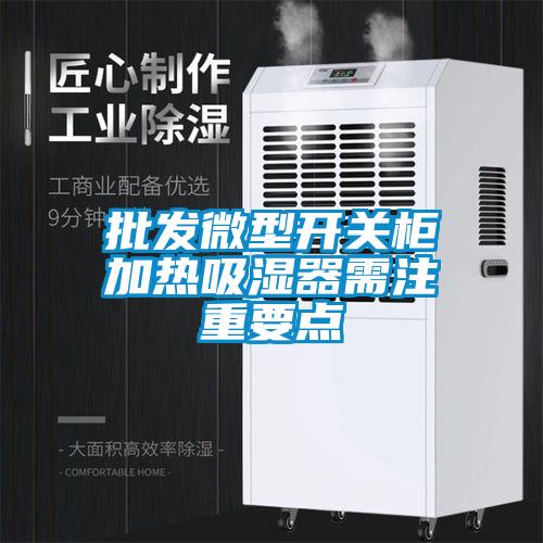 批發(fā)微型開關(guān)柜加熱吸濕器需注重要點