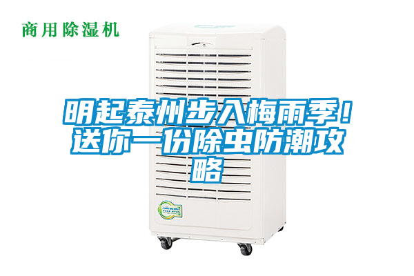 明起泰州步入梅雨季！送你一份除蟲防潮攻略